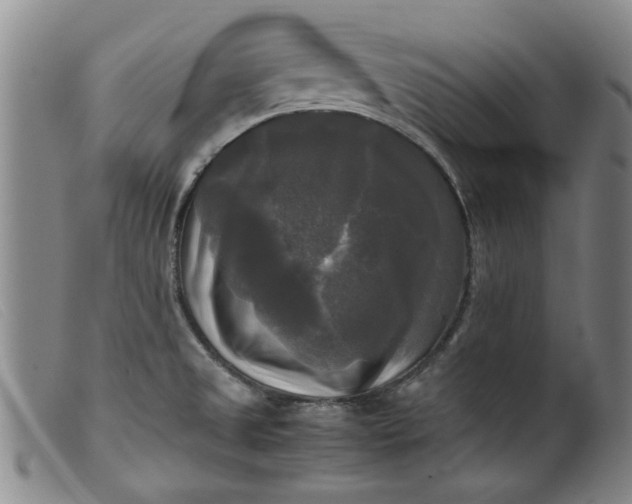 X0000099411525200805231551