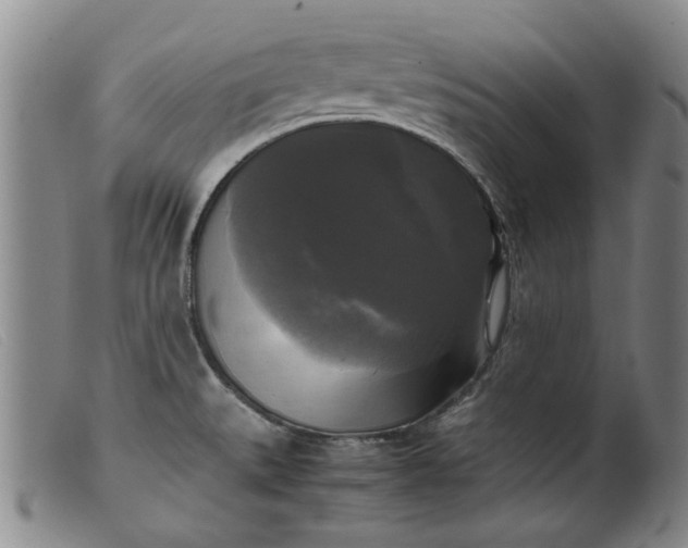 X0000099411527200805231551