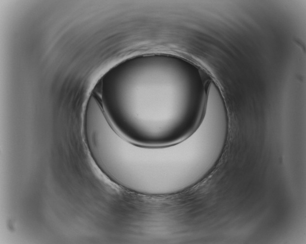 X0000099411528200805231551