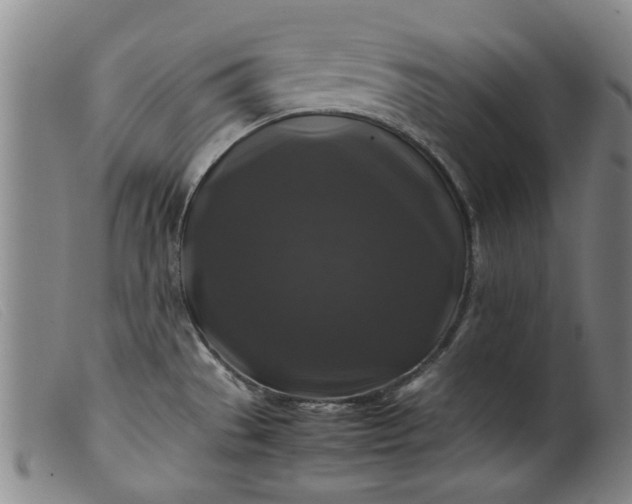 X0000099411529200805231551