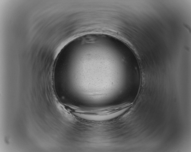 X0000099411530200805231551