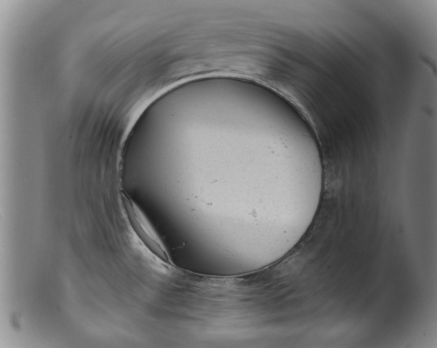 X0000099411532200805231551