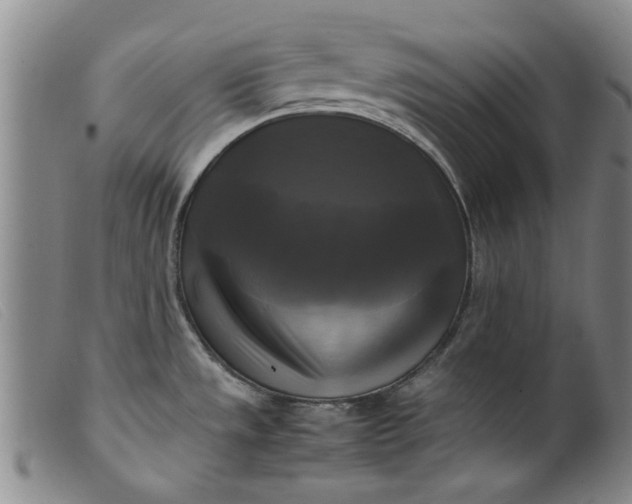 X0000099411533200805231551