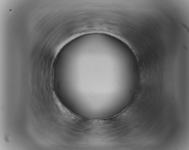 X0000099411534200805231551