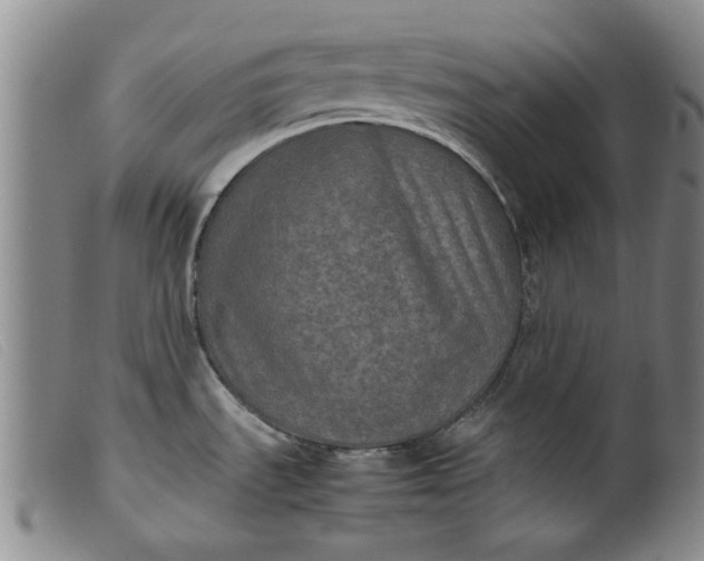 X0000099411535200805231551