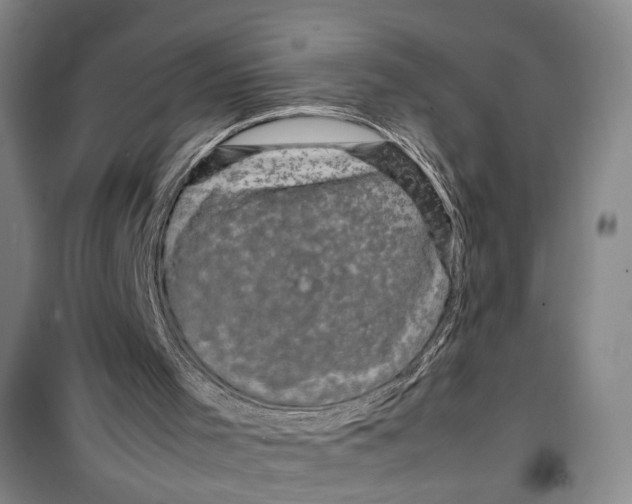 X0000099410001200805301356