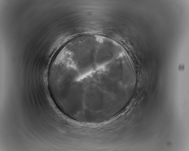 X0000099410002200805301356