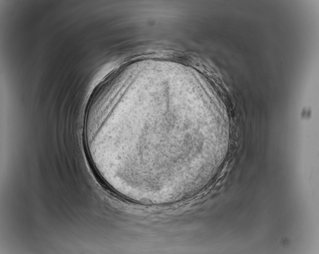 X0000099410003200805301356