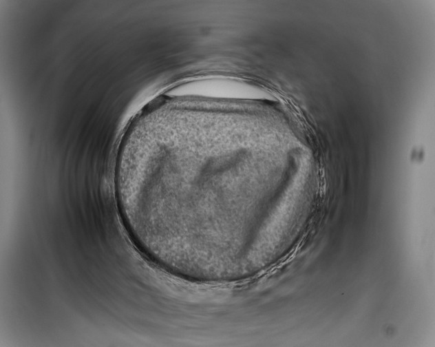 X0000099410004200805301356