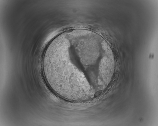 X0000099410005200805301356