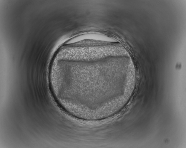 X0000099410006200805301356