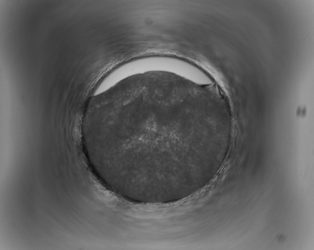 X0000099410009200805301356