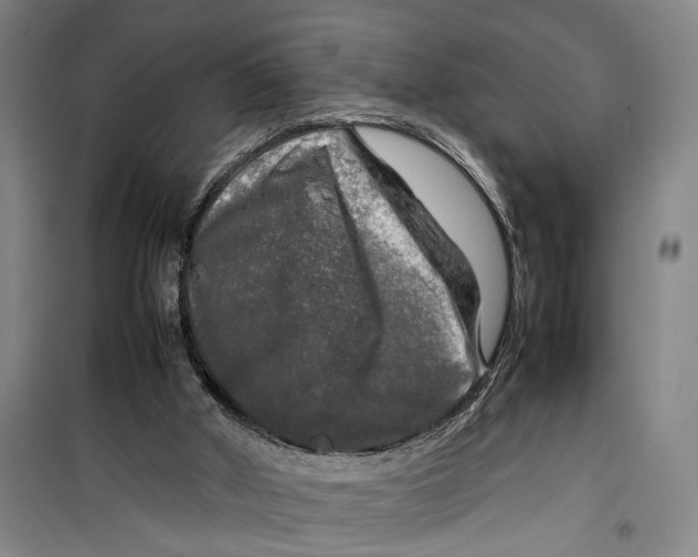 X0000099410010200805301356