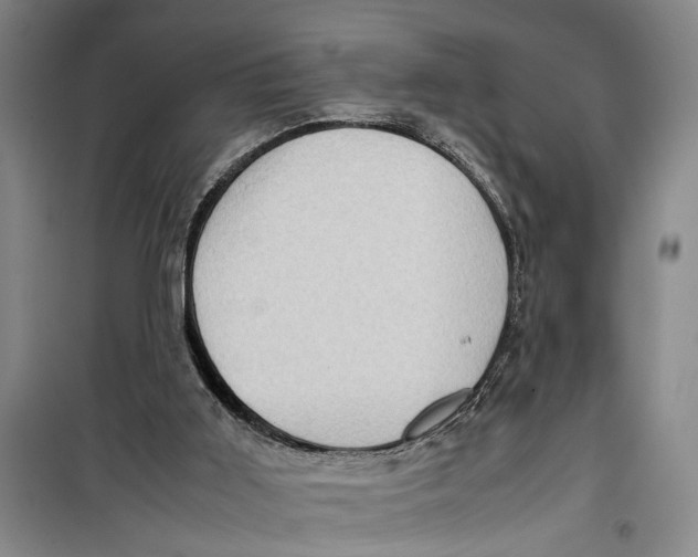 X0000099410011200805301356