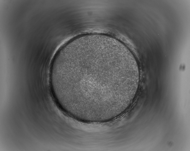 X0000099410012200805301356