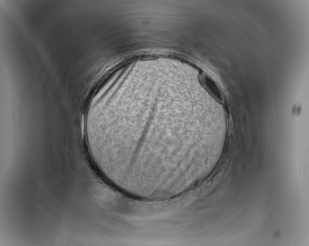 X0000099410013200805301356