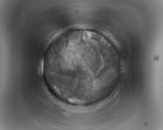 X0000099410014200805301355