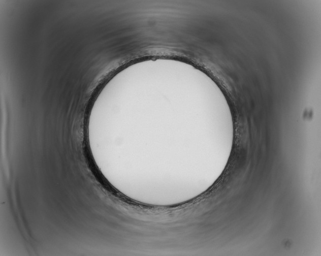 X0000099410015200805301355