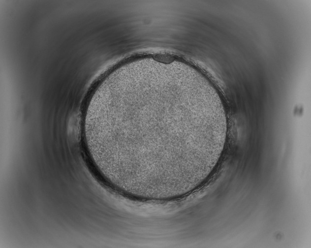 X0000099410016200805301355