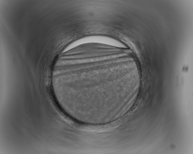 X0000099410017200805301355