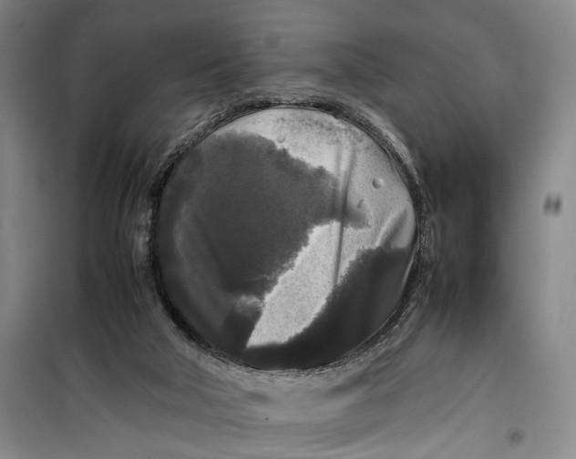 X0000099410018200805301355