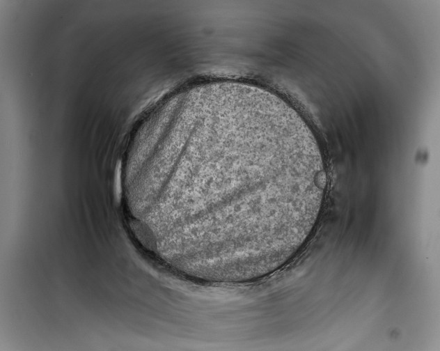 X0000099410020200805301355