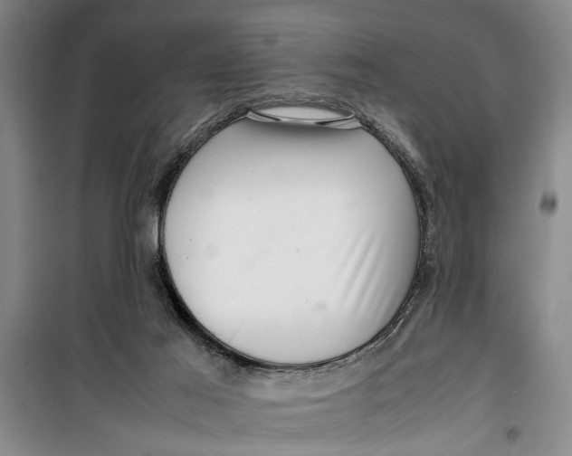 X0000099410021200805301355