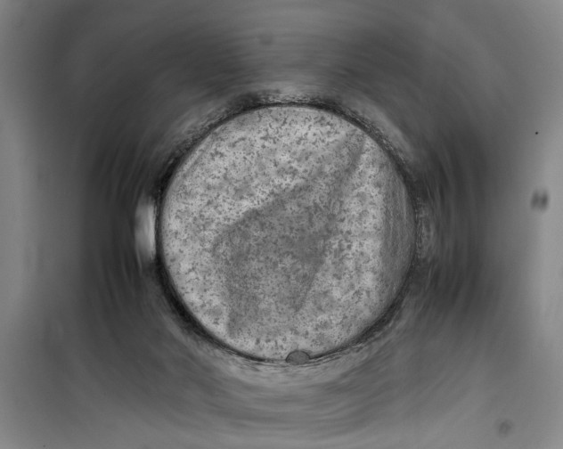 X0000099410022200805301355