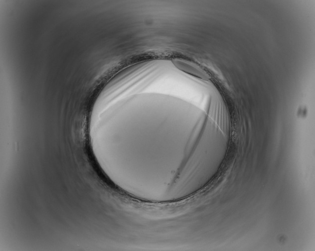 X0000099410023200805301355