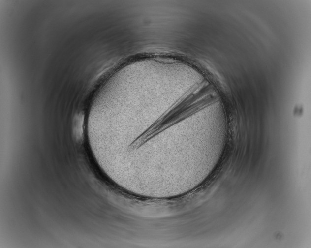 X0000099410024200805301355