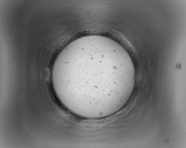 X0000099410025200805301355