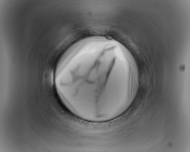 X0000099410027200805301355