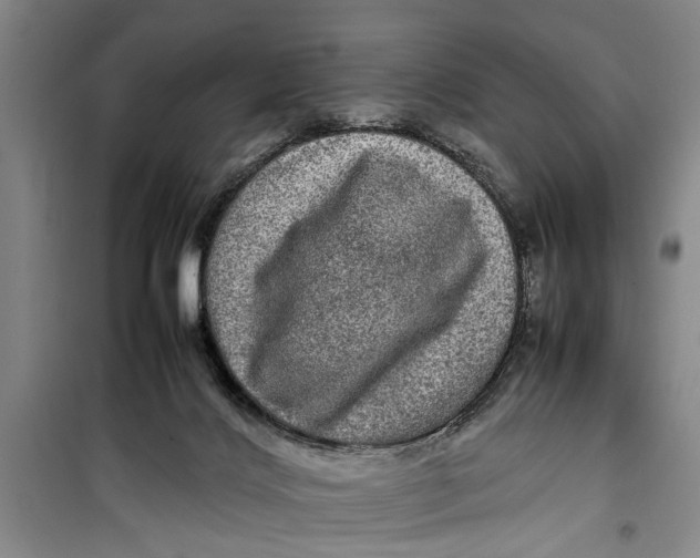 X0000099410028200805301355