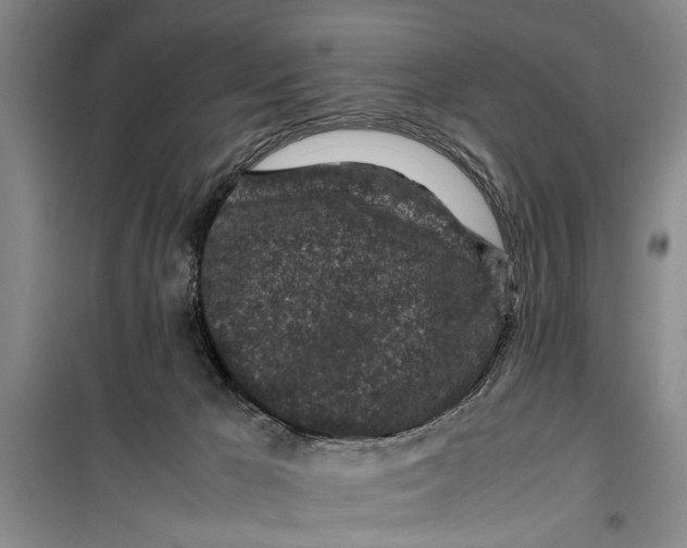 X0000099410029200805301355