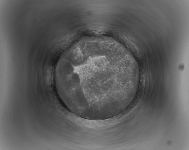 X0000099410030200805301355