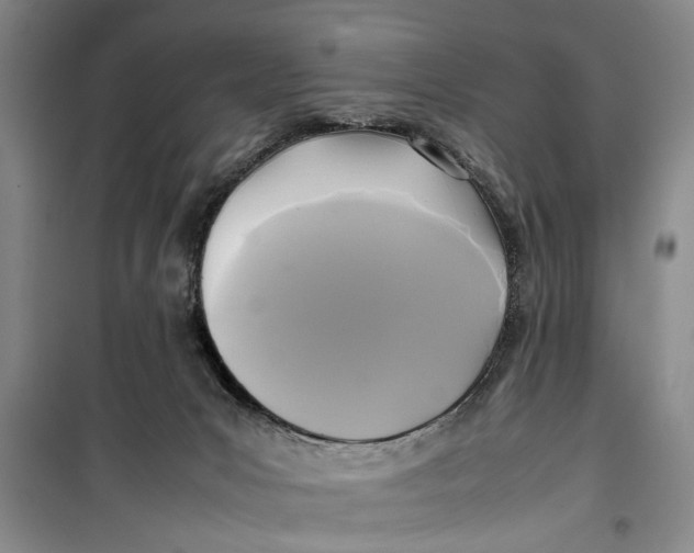 X0000099410031200805301355