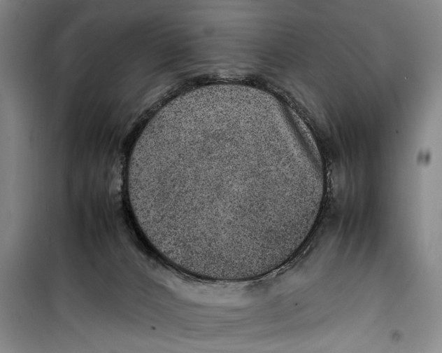 X0000099410032200805301355