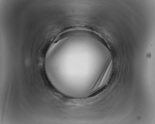 X0000099410033200805301355