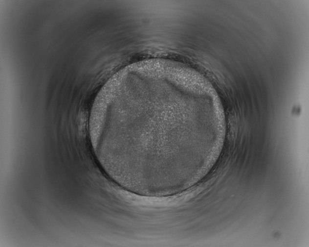 X0000099410034200805301355