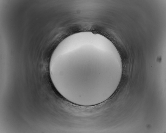 X0000099410035200805301355