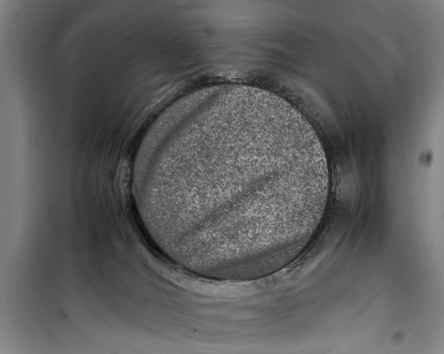 X0000099410036200805301355