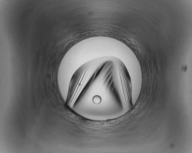 X0000099410037200805301355