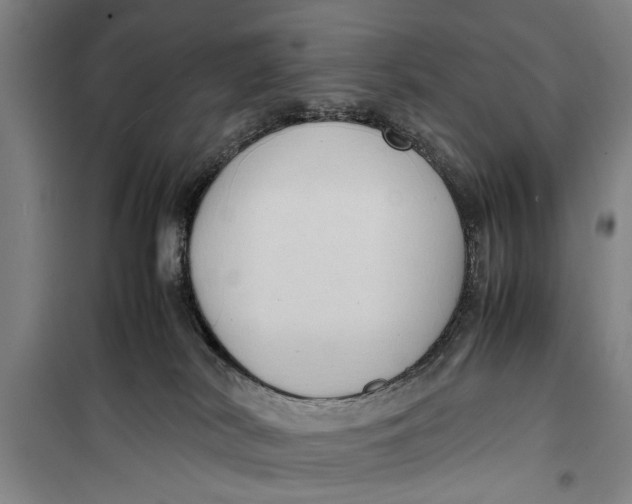 X0000099410038200805301355