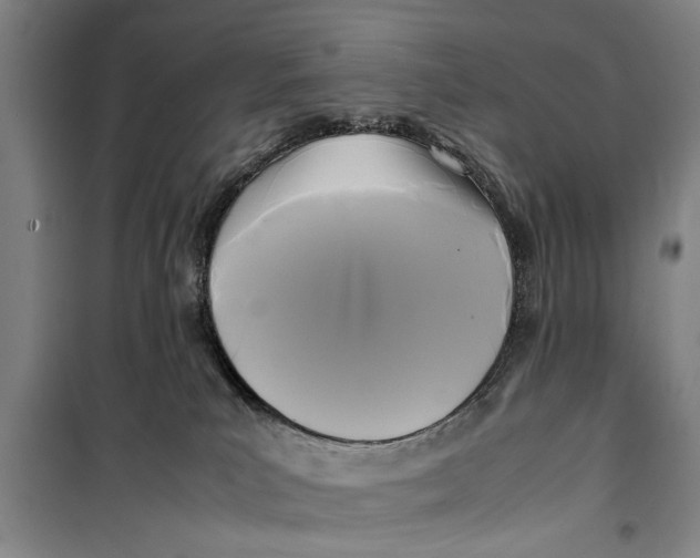 X0000099410039200805301355