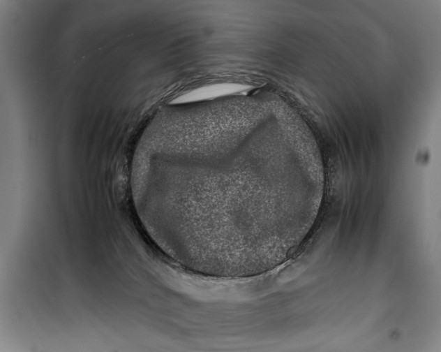 X0000099410040200805301355