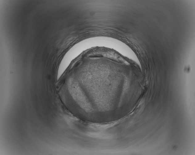 X0000099410041200805301355