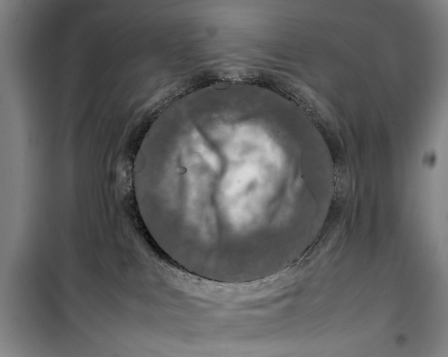 X0000099410043200805301355