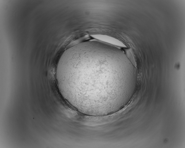 X0000099410045200805301355