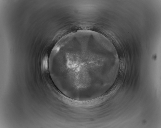 X0000099410046200805301355