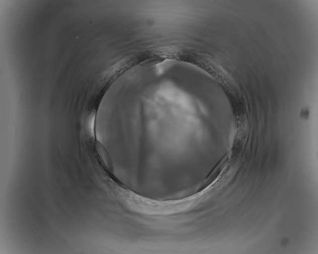 X0000099410047200805301355